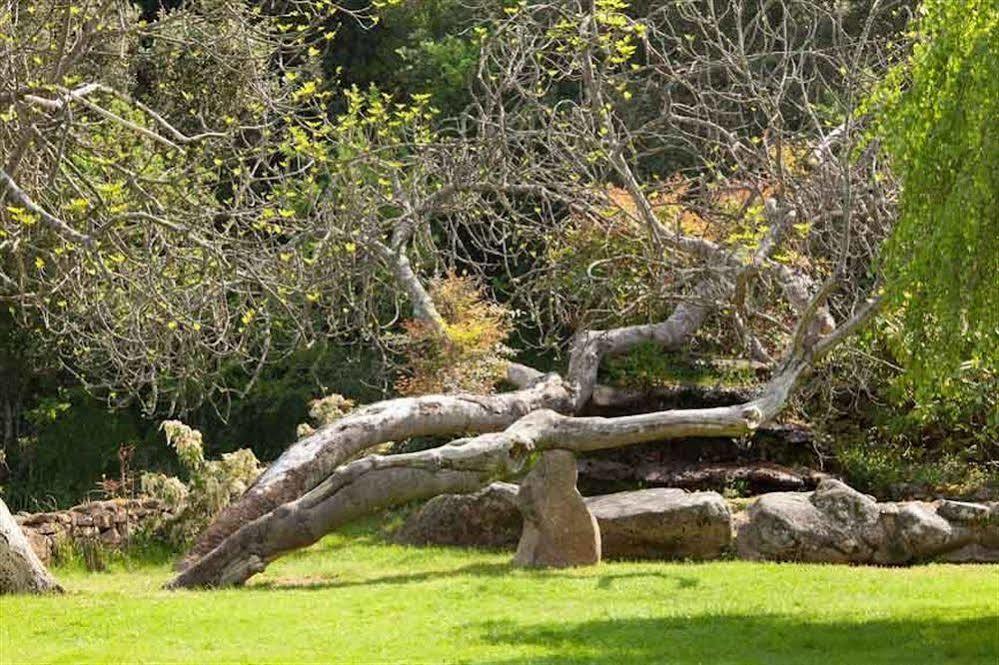 L'Agnata Di De Andre Boutique Hotel Tempio Pausania Kültér fotó