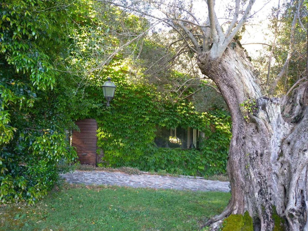 L'Agnata Di De Andre Boutique Hotel Tempio Pausania Kültér fotó